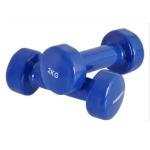 Rubber Coated Cast Iron Dumbbells Pair